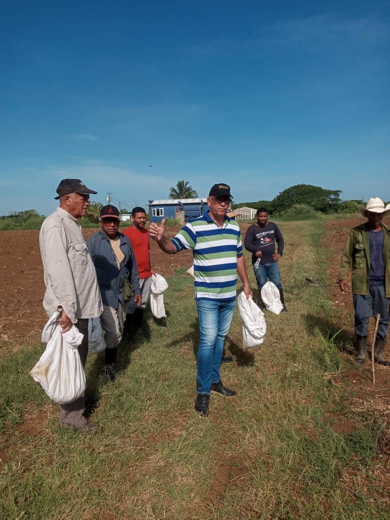 CubaRonSA's tweet photo. Nuestro colectivo de trabajadores  fue la primera empresa del #MINAL en comenzar con labores de trabajo productivo y voluntario al llamado. Un paso firme en la contribución a la producción de alimentos para nuestra gran familia del sector empresarial.

#minal #cubaron https://t.co/AF5sXfam8L