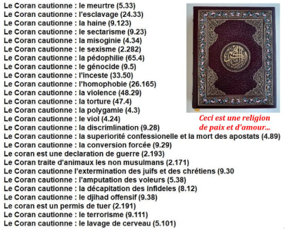 TimupChip's tweet photo. @spiratusFR @CasusLady Le seul véritable miracle du Coran c'est que des gens y croient encore au 1ᵉʳ degré en big 2026 (bon, en général, ils ne l'ont pas lu). https://t.co/BSIZXPy0bq