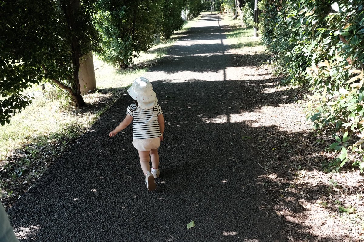 CraftworkT's tweet photo. 自然と触れ合う1日🌱🌳 https://t.co/QhStJsbI08