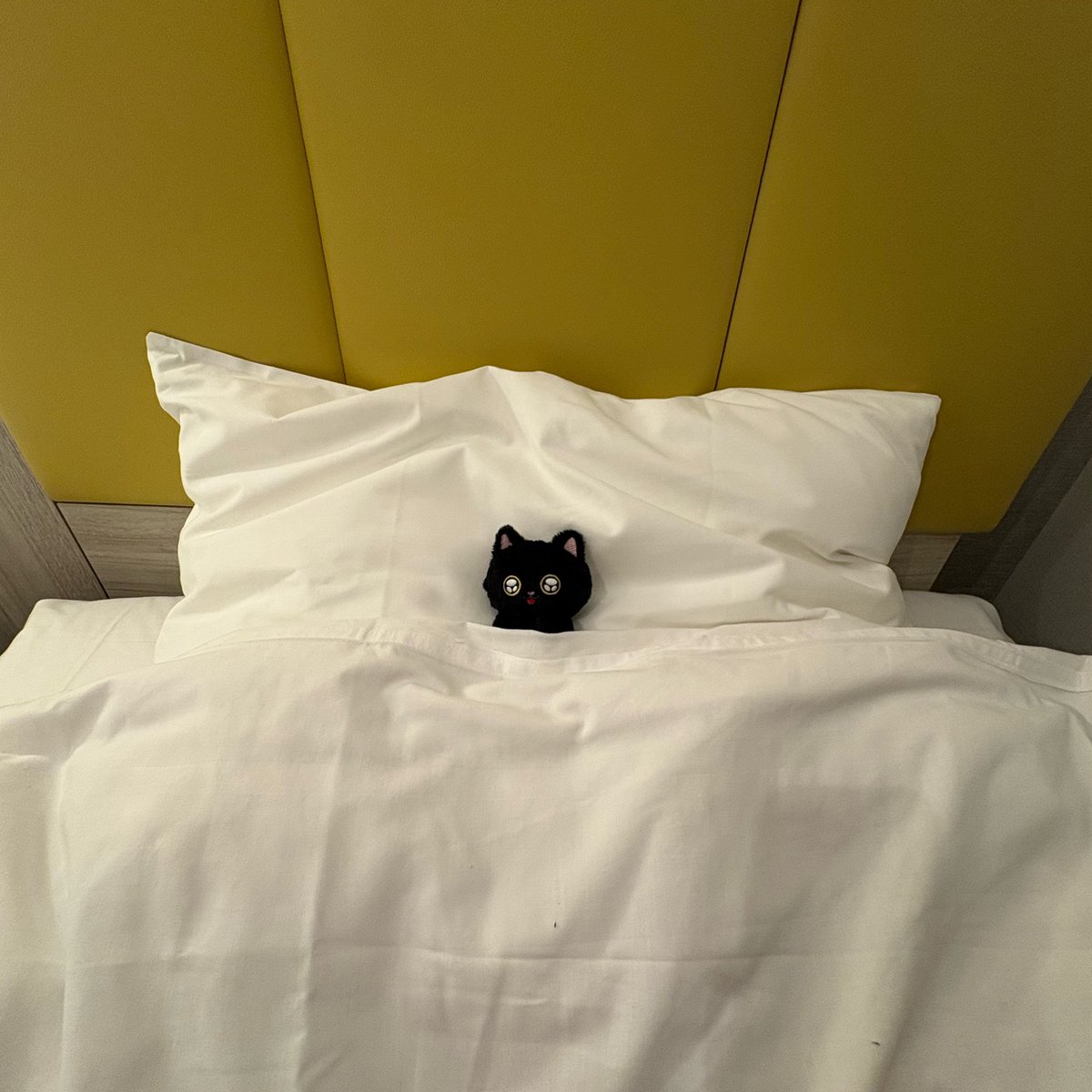 __harusung's tweet photo. 可愛すぎるんだから🥺🖤🐈‍⬛ https://t.co/0d3PxtZBwB