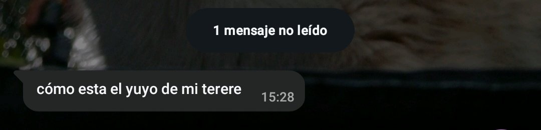 7antob's tweet photo. nunca uno normal @felipecl25 https://t.co/kL8y2Pjdfd