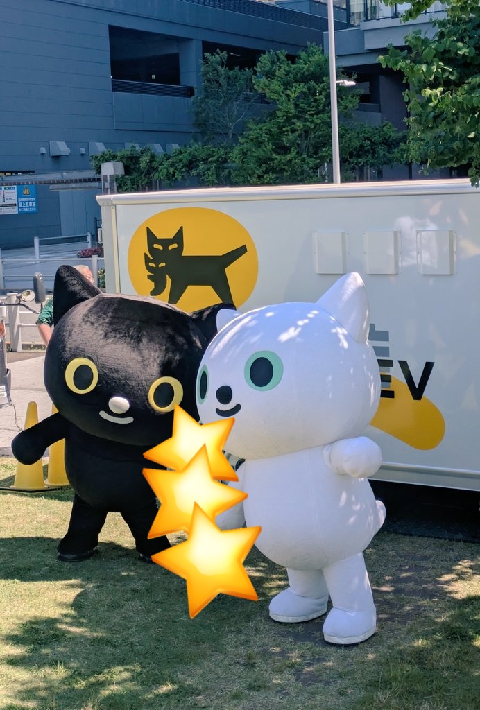 チャッピー (@chatppy_chatppy) / Posts / X
