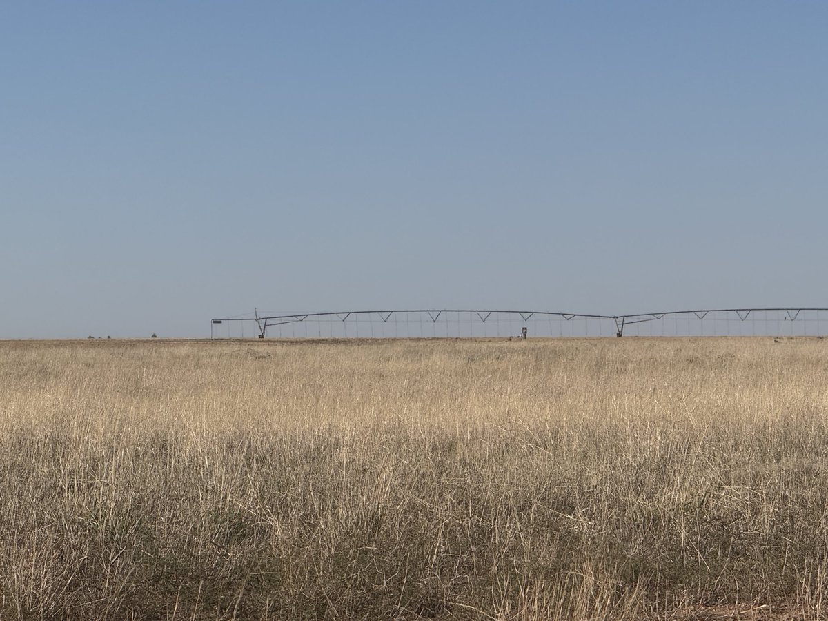 ylpj01's tweet photo. @BrianBledsoe Tell me it’s gonna get better out here on the south plains of Texas. Pretty dry out here https://t.co/HYUF6TDT02
