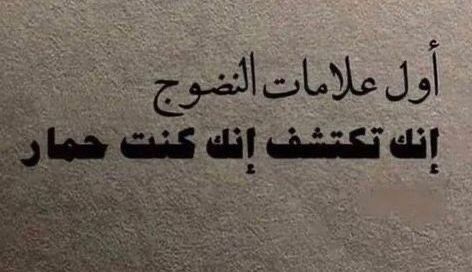 Ghada Hamdi tweet media