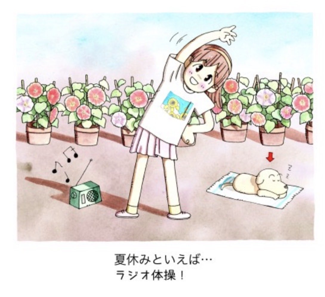 しましま工房2 (@shimashimakobo2) / Posts / X