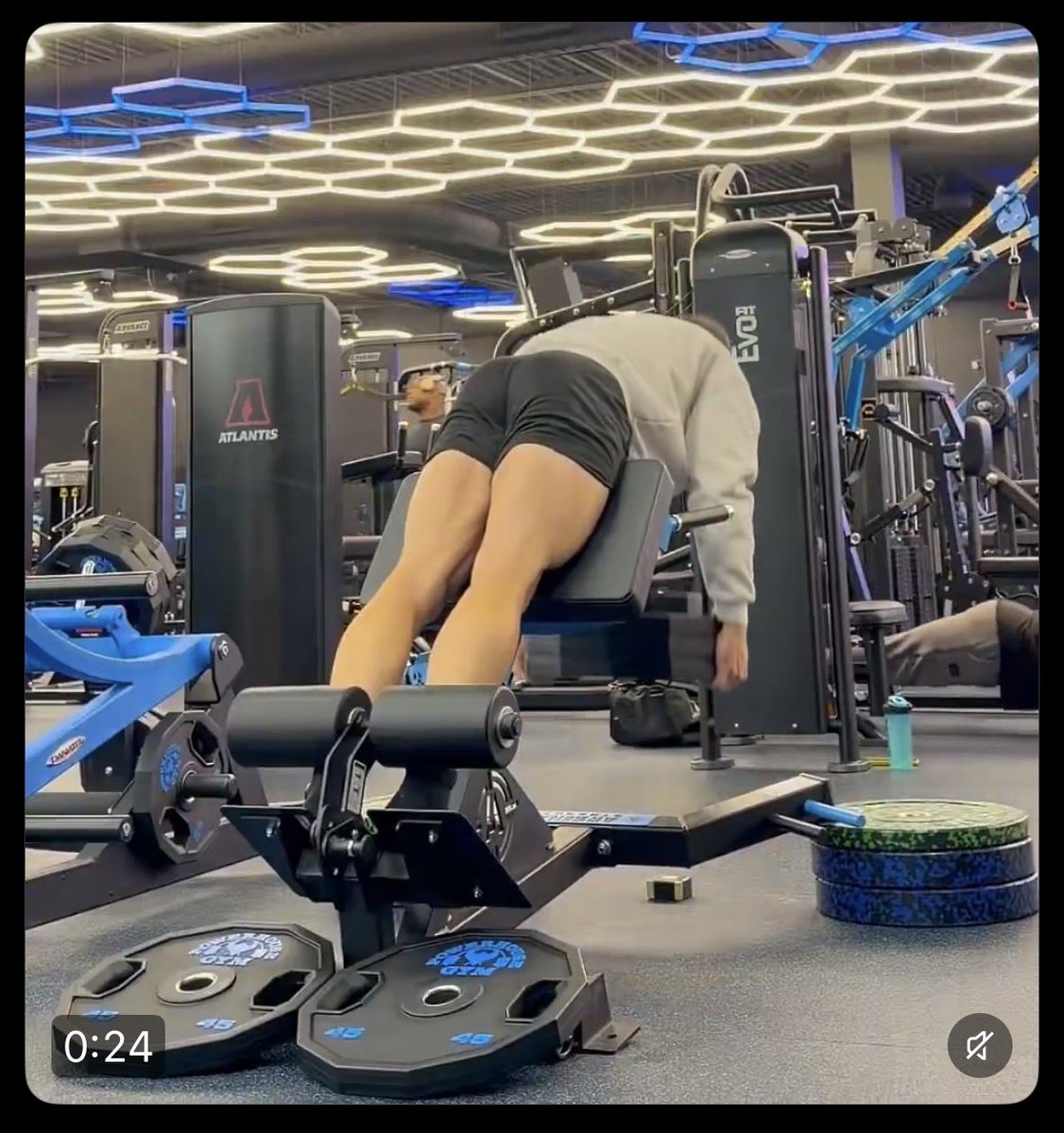 Bengal | THE Jungle’s Physio tweet media