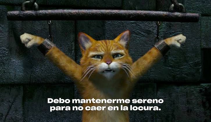 HaiseDanielYT's tweet photo. @sleygz Ta ruda la situación Sley ojalá y mejore la cosa rey 🫂

Sley: https://t.co/JLuVH7ASio