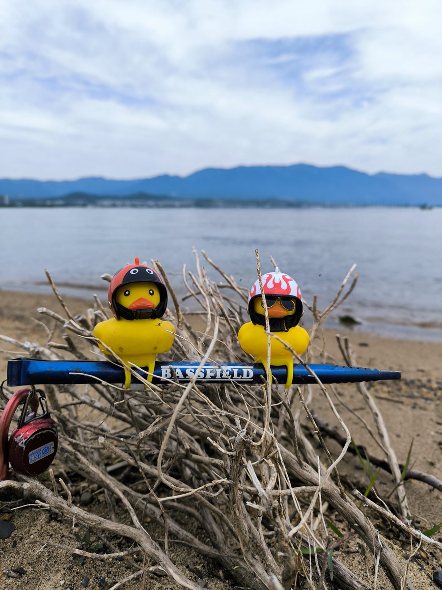 OexG5q1oIYWuJqx's tweet photo. おはようございます〜🌞
本日は滋賀県守山市にて、🫧
🫧🤿潜水士🫧さんによる 水中清掃🚮があるとのことで、お手伝いさせていただきやす〜ฅ^•ω•^ฅ
 #釣り人による清掃活動
 #釣り人が居れば水辺は綺麗になる https://t.co/c4ER9cK1Eb