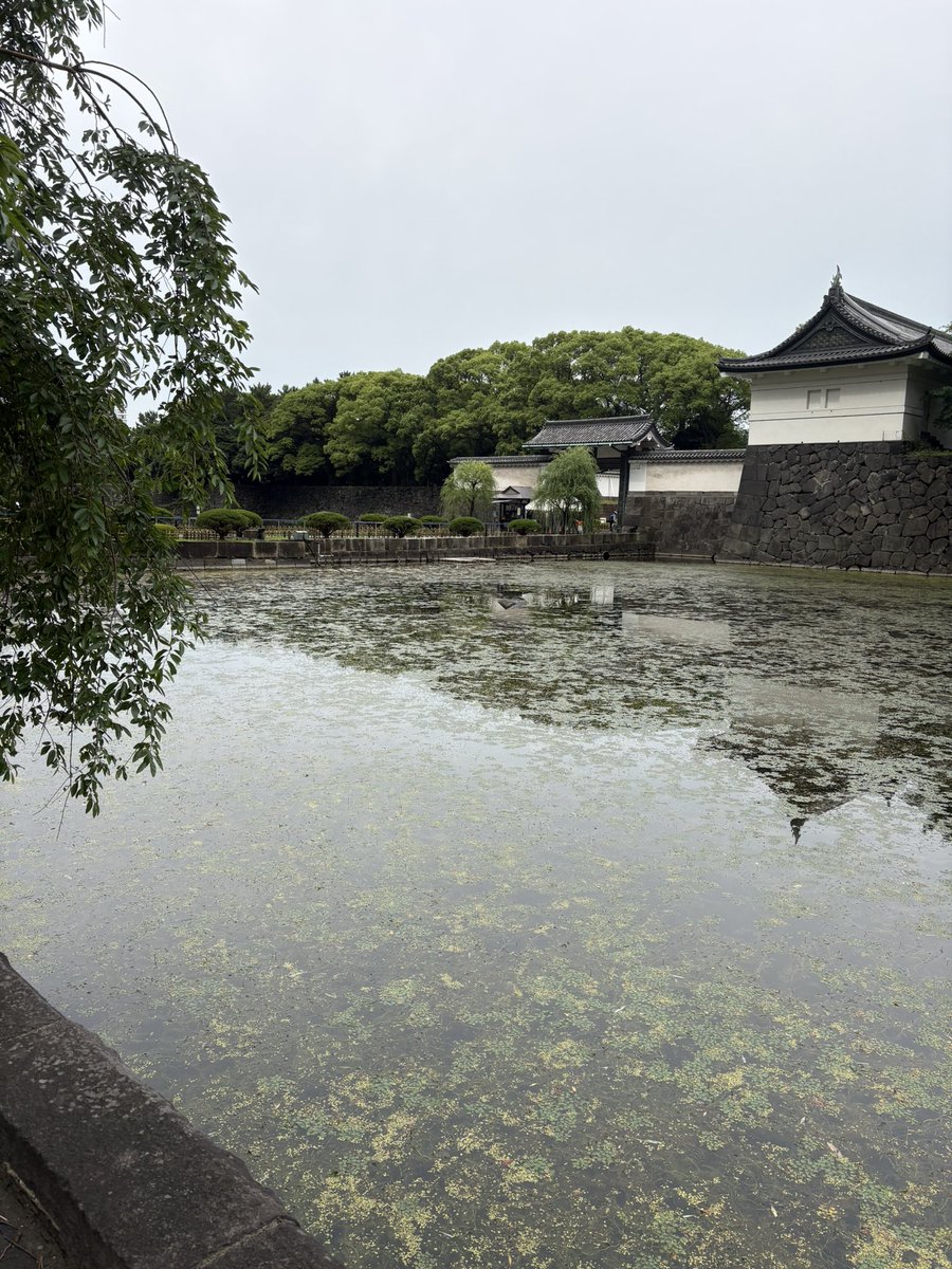 rumi415's tweet photo. 皇居大手門
開門まであと１５分
東御苑に緑と花菖蒲を見に行きます https://t.co/XDAW9ad8B3