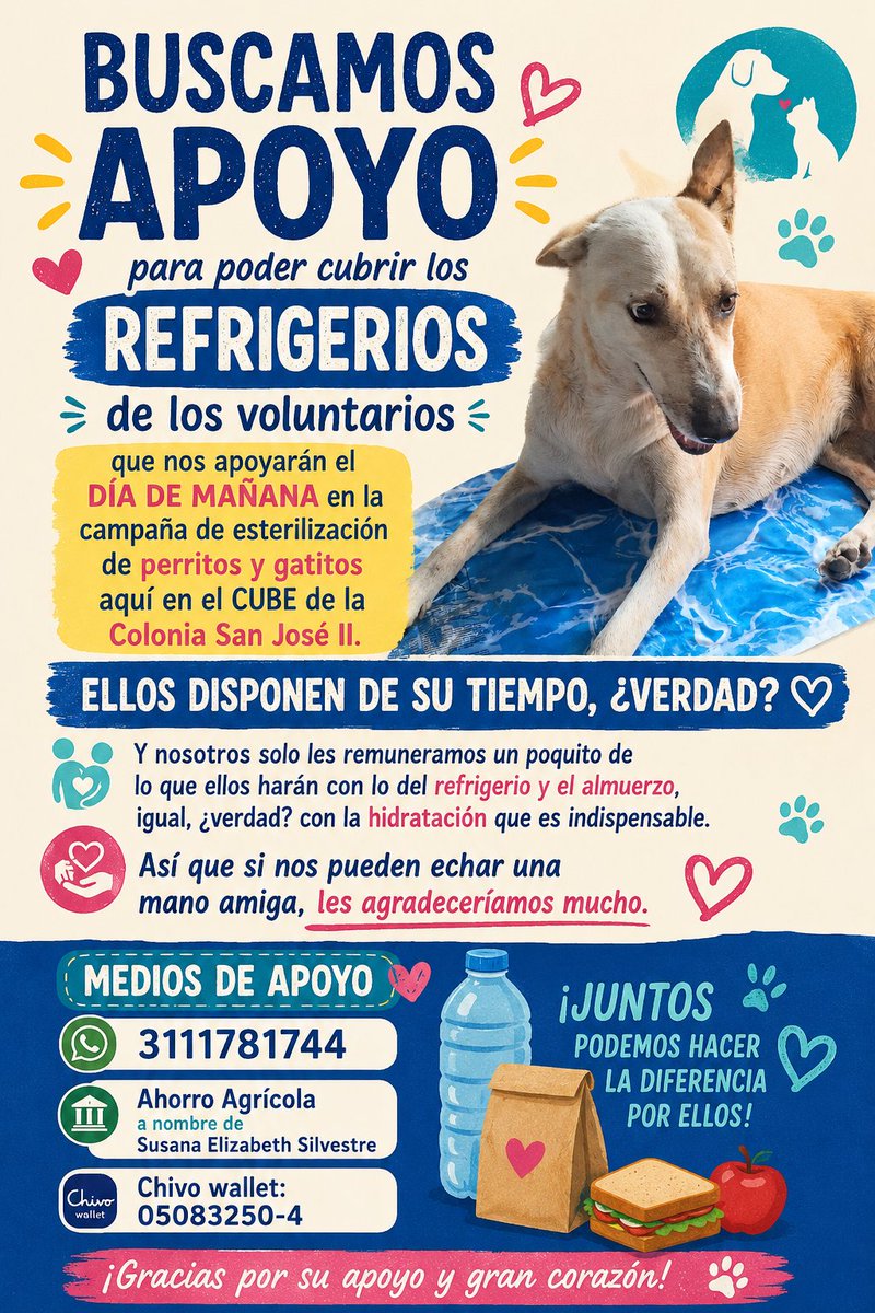 MANADITA CANINA CALLEJERA tweet media