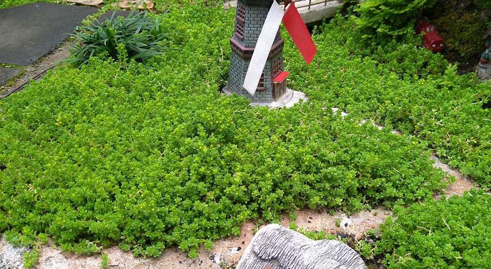 EternalPosition tweet picture