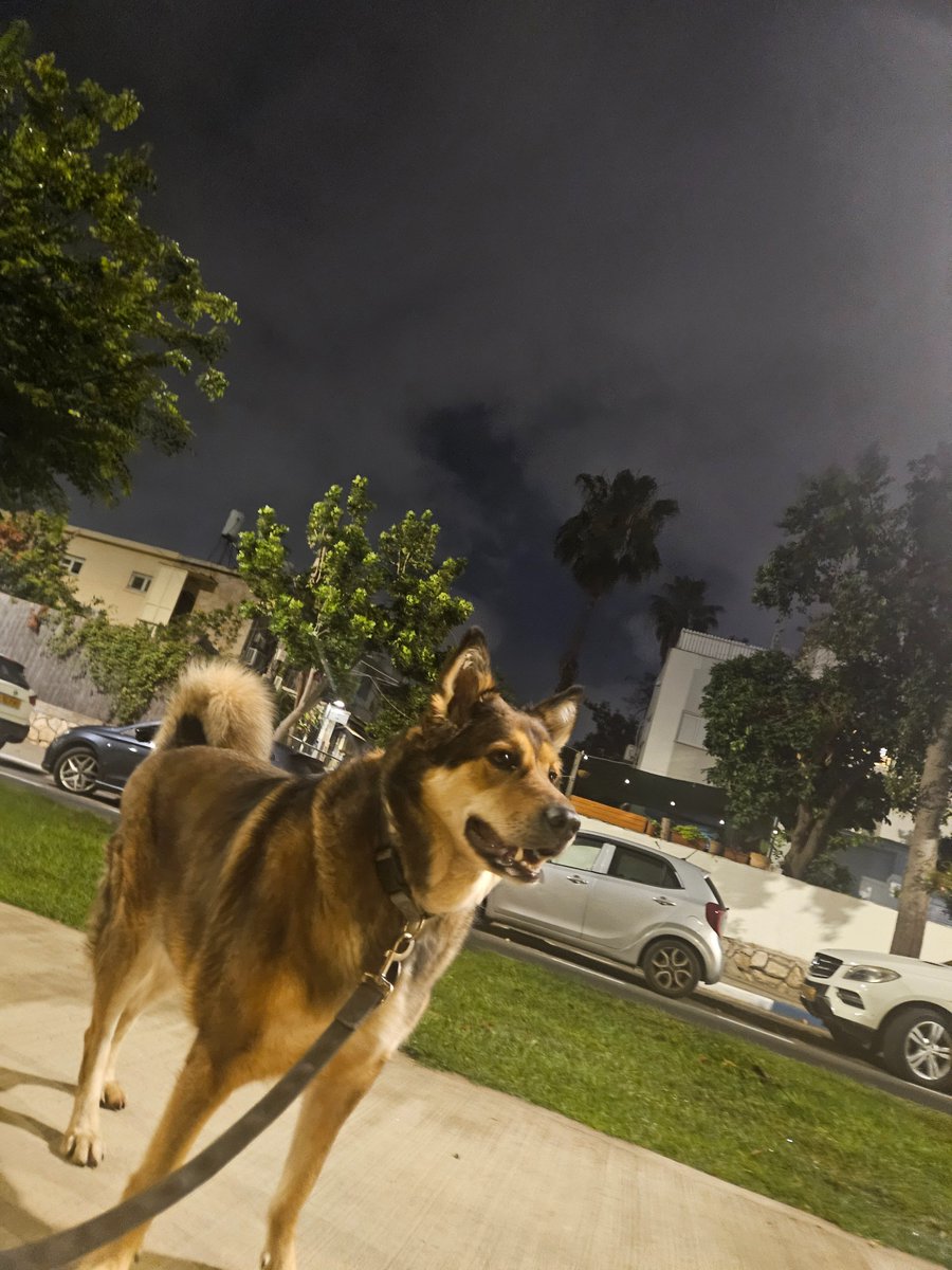 rakroy's tweet photo. בטיול לילי אחד מאיתנו עירני https://t.co/keSrQna3k7