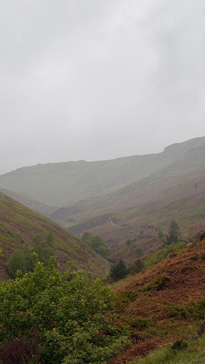 castledlol's tweet photo. gloomy hike 
(ᵕ—_—) https://t.co/Cg0Dm5vuMw