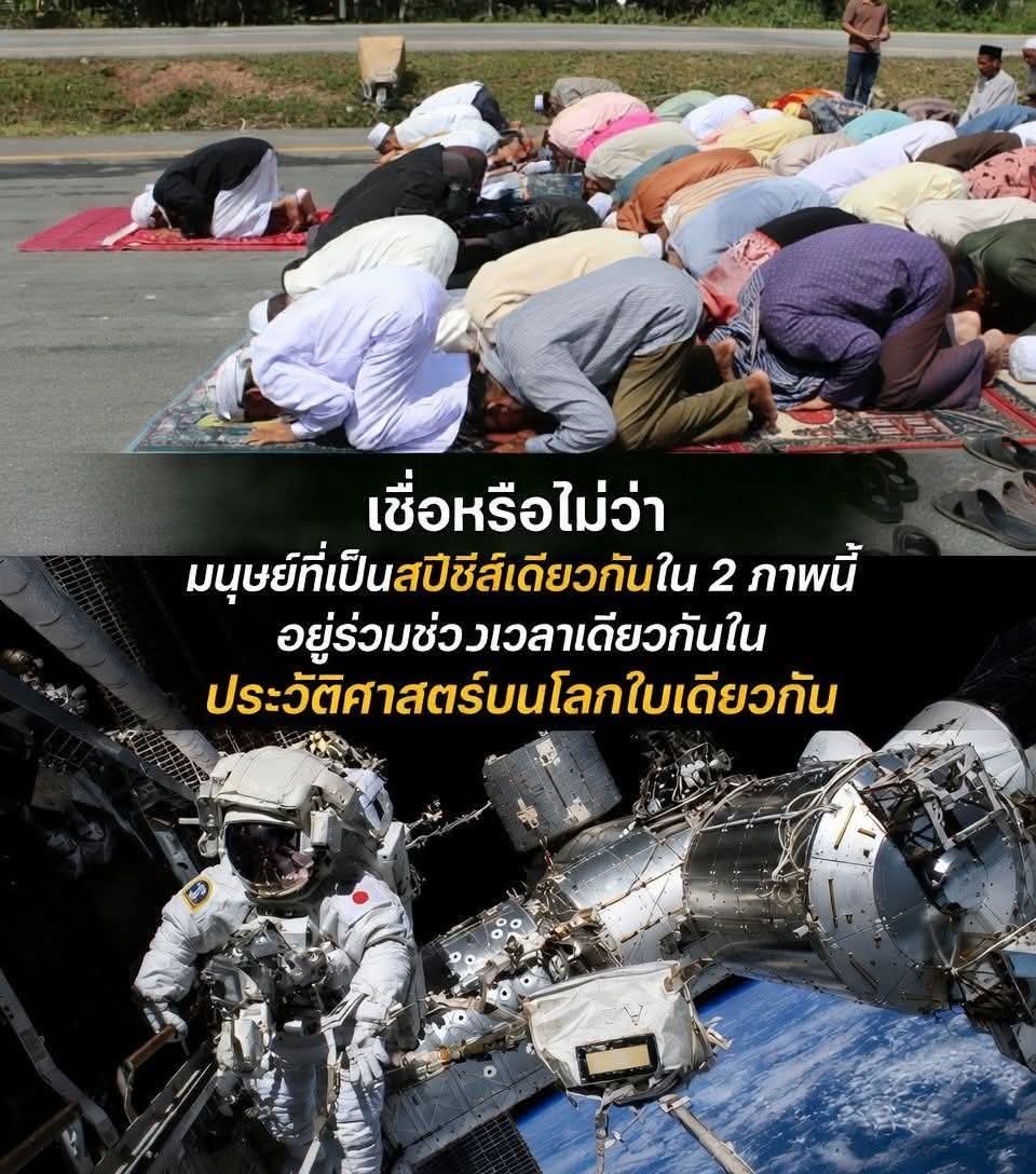 ທつສ tweet media
