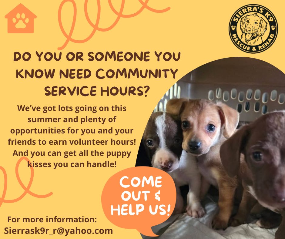LisaSissis2000's tweet photo. 🐾 Love dogs? Want to make a difference? Sierra’s K9 R&amp;R is looking for volunteers to help care for rescued dogs and support our mission. Just a few hours of your time can change a life—maybe even yours! 
#VolunteerNeeded #AnimalRescueVolunteer #DogRescue #SanAntonioVolunteers https://t.co/ayxAaAyKr9