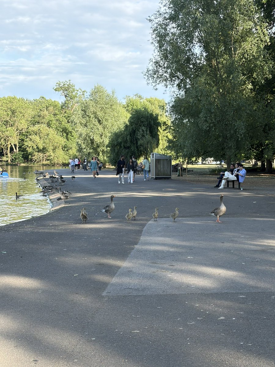 chipi_uk's tweet photo. ロンドン🇬🇧思ってたより自然が多くてすごく好き
📍The Regent’s Park https://t.co/Kw51xXoMwd