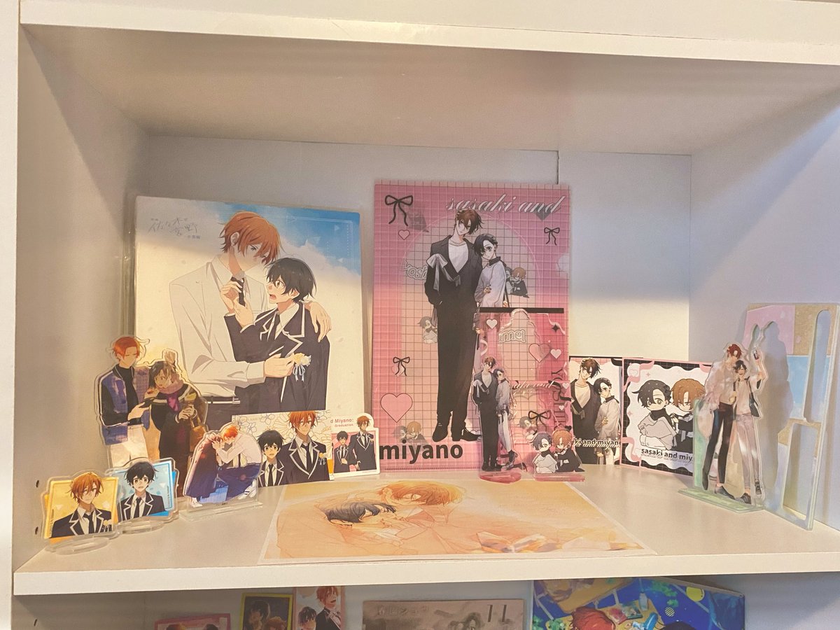 naomakimura's tweet photo. FINALLYYY (MOSTLY) DONE MY SASAMYAA SHELF🦁🐰🦁🐰🦁🐰 https://t.co/x4Qs3f5Z2y