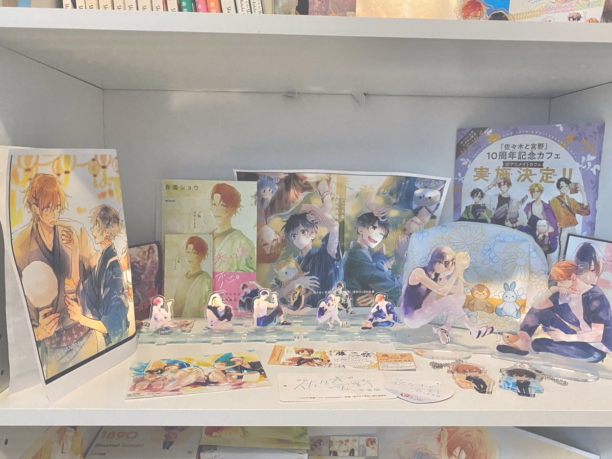 naomakimura's tweet photo. FINALLYYY (MOSTLY) DONE MY SASAMYAA SHELF🦁🐰🦁🐰🦁🐰 https://t.co/x4Qs3f5Z2y