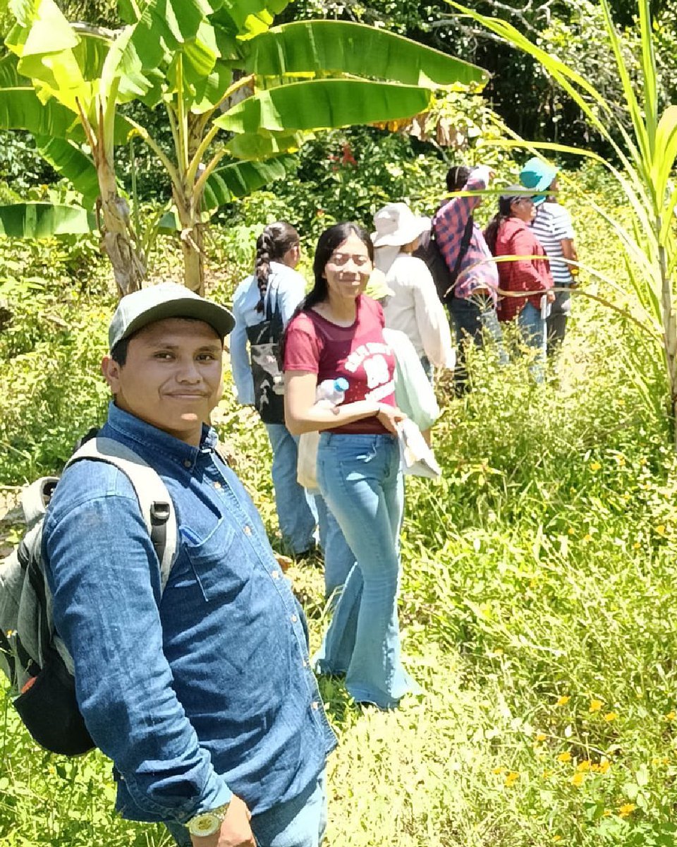 semvidamx's tweet photo. En Papantla, Veracruz, integrantes de las CAC fortalecen su proceso de certificación orgánica bajo normas mexicana, estadounidense, europea y japonesa, mediante capacitación y visitas de inspección a unidades de producción.

#OrgulloSV https://t.co/qje9swFOgq