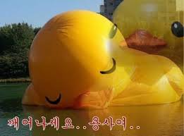 구운고라니 tweet media