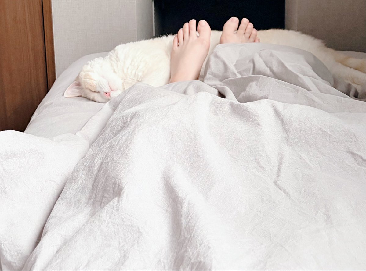 しろねこみるぅ tweet media