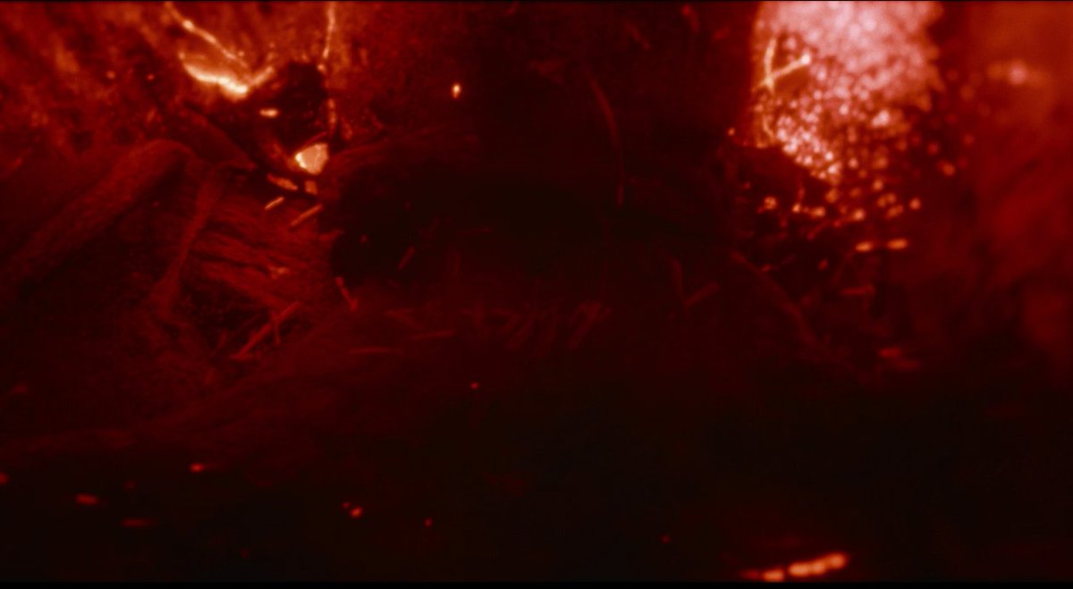 Epifauna_'s tweet photo. [ #ironlungspoilers ]

Oh my god they became a tree. In the final moments HE BECAME A TREE
I never realised that in the cinema oh my god https://t.co/AFEzKcdyxU