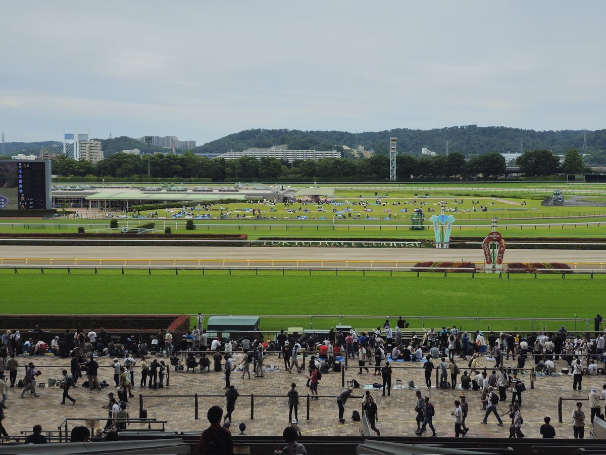 KODANGLE's tweet photo. 本日の景色 https://t.co/HcL4kappPA