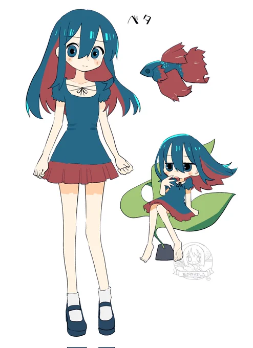 お題箱 ベタの女の子