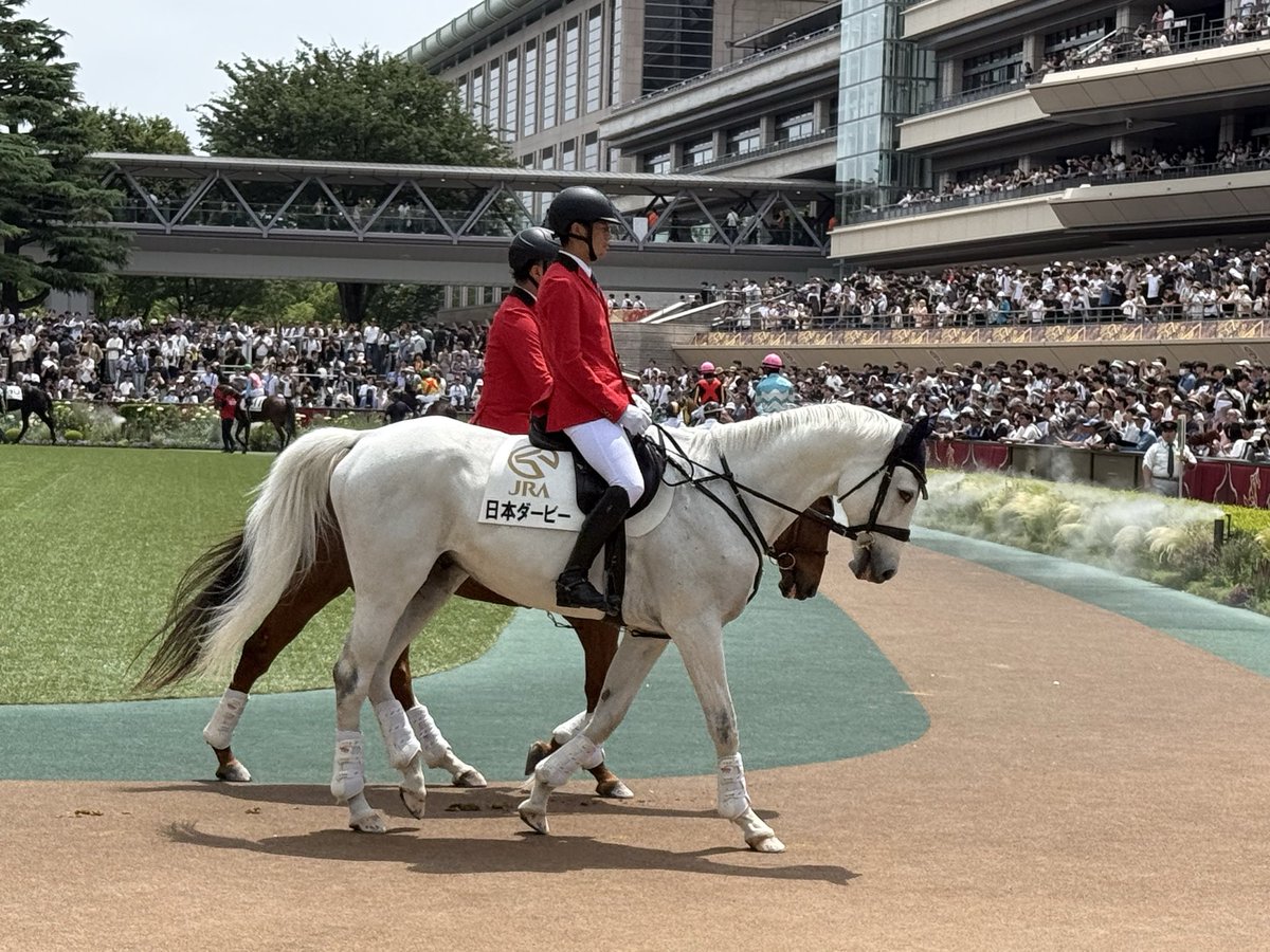 shirotoratora's tweet photo. ダービーは馬主席、競馬ガチ勢皆無(´×ω×`) https://t.co/6tpXCwnYCW