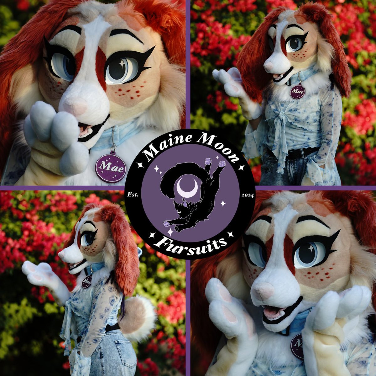 Ma1neMoon's tweet photo. Welcome Mae to the MaineMoon family 🥰 this adorable cocker spaniel was so fun to make and I adore everything about her! Hopefully you'll get to catch her at Megaplex! https://t.co/cfk7phuX1R