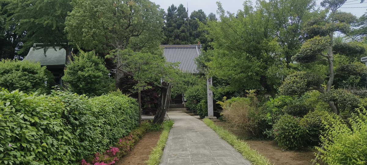 cvfg520's tweet photo. 走了半天，都没碰到几个人，但是日本的老头老太太是真有礼貌，几个公园都没有人，太不正常了 https://t.co/g4LNdgwDoc