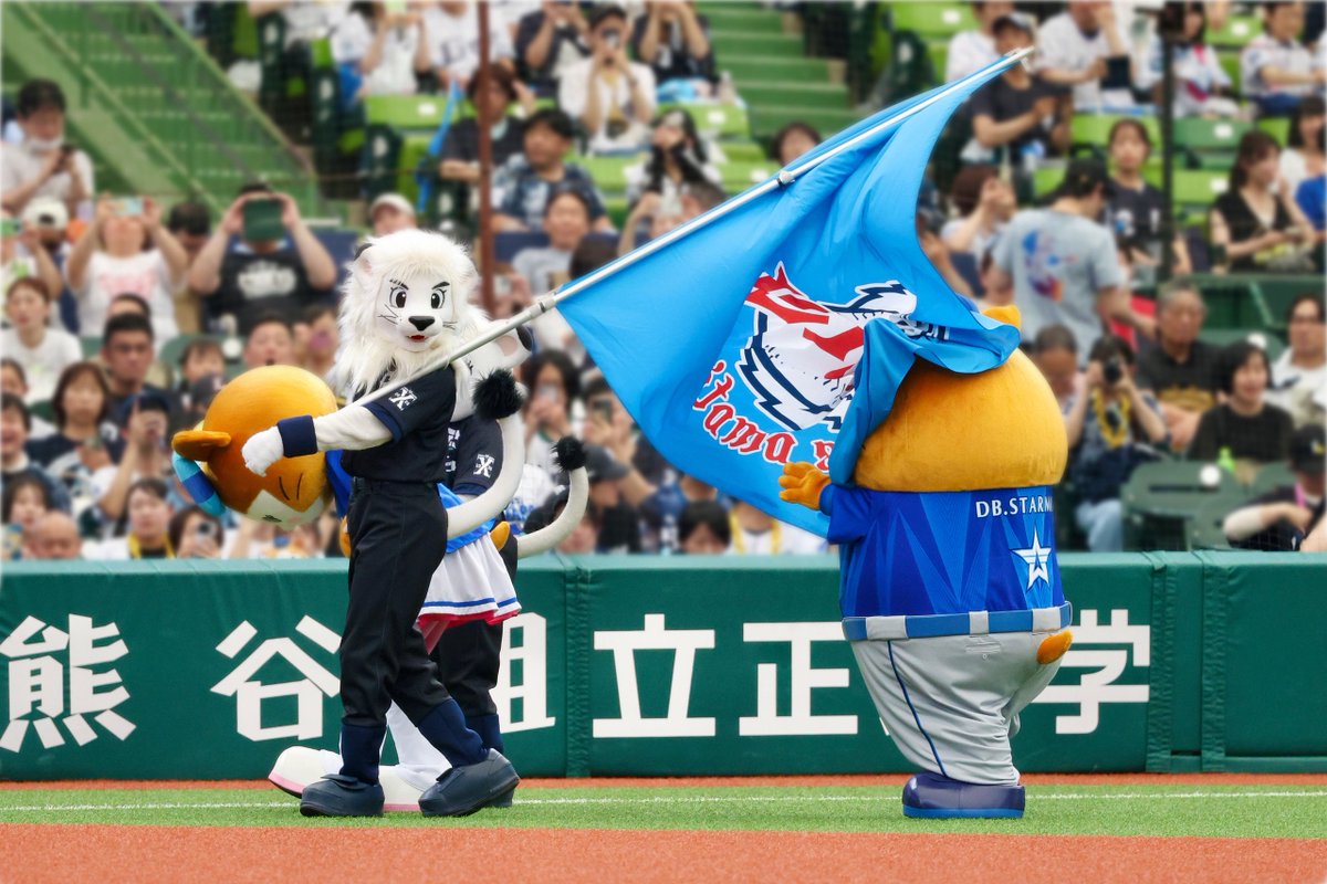 okomemr8's tweet photo. たぬｗｗｗｗｗｗｗｗｗｗｗｗｗｗｗｗｗｗｗｗｗｗｗｗｗｗｗｗｗｗｗｗｗｗｗｗｗｗｗ https://t.co/gfHfNBTlXF