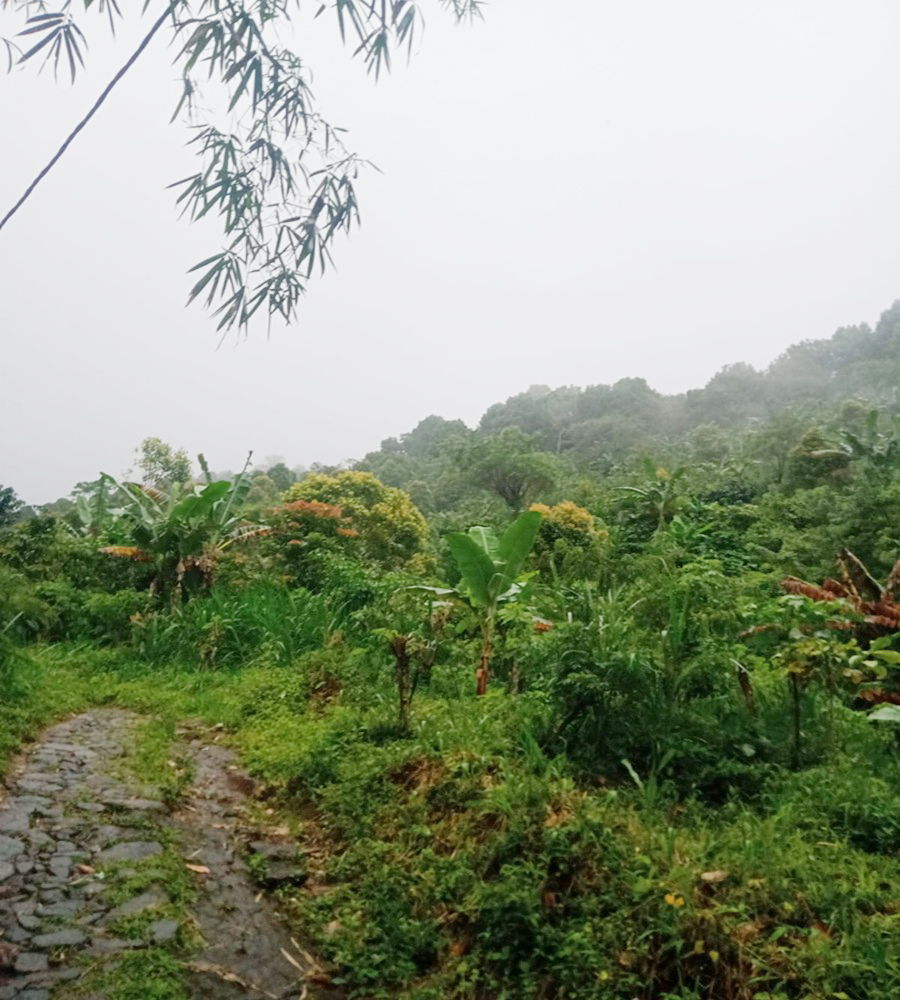 Netproperti_com's tweet photo. Dijual Cepat Tanah Perkebunan 30.000 m2 di Buleleng Bali Dekat Tempat Wisata

Harga Jual Tanah Rp.24.000.000.000 (Nego Halus) Jika berminat silahkan hubungi Telp/WA: 087783251883 https://t.co/nit1ZXCFQv