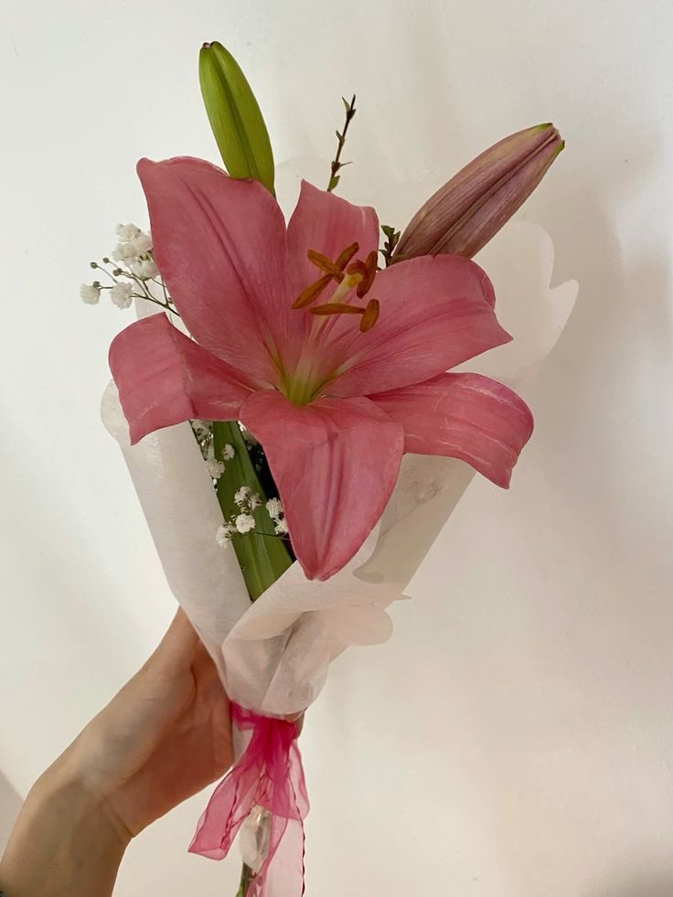 haneuluni's tweet photo. ㅤ
ㅤㅤㅤ✴︎  💌 ،  #𝒇lechαdos𝒏α𝒆́clαt .

  ׂ   𝒑ara : @thzlastdaughter 
  ׂ   𝒅e ⠆namjoon
ㅤ
ㅤㅤ❛   💌   ⠆minji te amo https://t.co/9Jf6LKFMlc