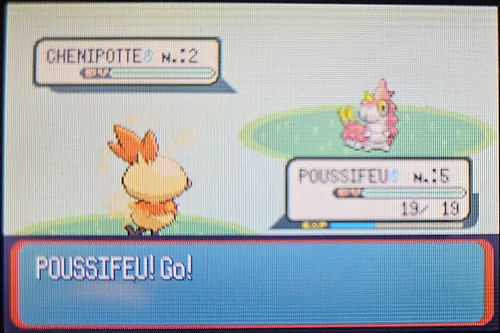 HydroPoing's tweet photo. Je... oui ? Poussifeu shiny n°3 apparaît après 2698 resets, ce qui termine toutes les familles des starters 3G ! ✨

Je n'ai vu qu'un seul Medhyèna shiny sur les 9 starters, c'est juste frauduleux... mais qui va s'en plaindre ? Bientôt le retour de Raikou, mais le 349e avant ! https://t.co/rLDaz9vAhW