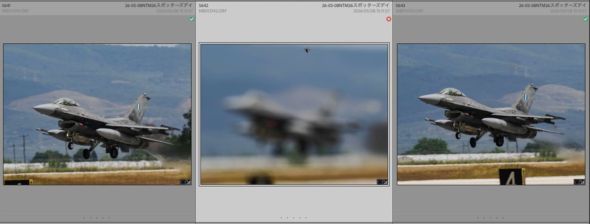 IT_is_ABRAMS's tweet photo. 秒間15コマ連写の途中、1枚だけ虫にAF盗られるとか見直したぞOM-1 MarkII...👏 https://t.co/EacP6IUU27