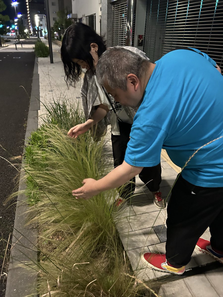 blind_83's tweet photo. 昨夜の思い出。
草の触り方について語り合う2人。 https://t.co/V1M1L2n9IZ