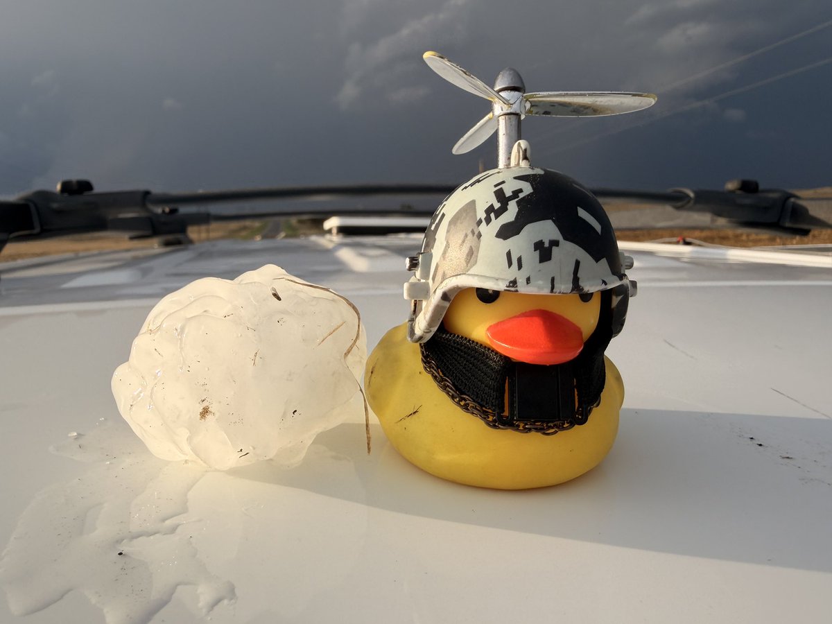 dixiealleychsr's tweet photo. Rubber duck size hail bombs 3 miles nnw of Wellfleet Nebraska this evening. @weswyattweather @mattdanielwx @toniatalkss #newx https://t.co/pE0fvDnxPG