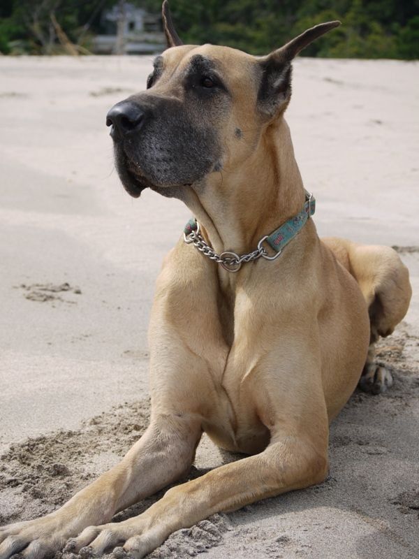 tyreon1's tweet photo. Scooby https://t.co/Pa5uSXEfXm