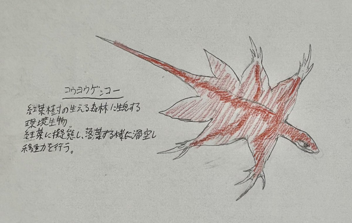 Take1939olg's tweet photo. コウヨウゲッコー
紅葉樹の生える森林に生息する環境生物
落ちる紅葉に擬態し、落葉する様に滑空を行う
滑空を行いながら、空中を飛ぶ虫などを捕食するが、自身もまた同じ様に鳥類に捕食される事がしばしば

 #MH自作環境生物 https://t.co/NeZWBjHfVT