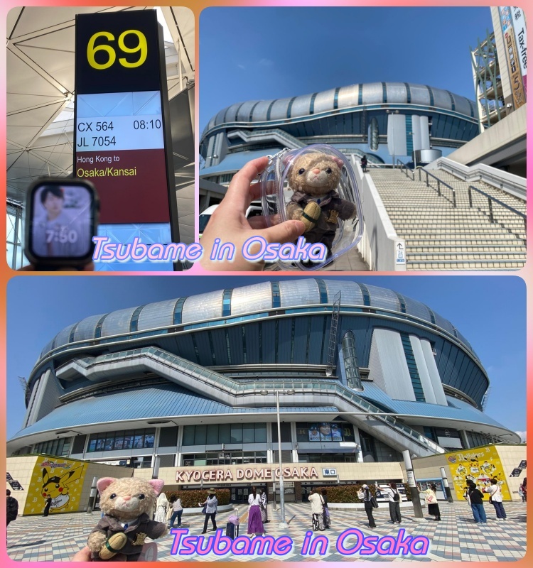ChanTsubame's tweet photo. Tsubame の人生に様々な経験と喜びをもたらしてくれた嵐の5人に心から感謝します。 
嵐はいつまでも Tsubame の心の中にいます。 
LOVE ARASHI 
💙❤️💚💛💜
#arashi
#wearearashi
#大野智
#櫻井翔
#相葉雅紀
#二宮和也
#松本潤 
#嵐ありがとう https://t.co/7AseoyBagU