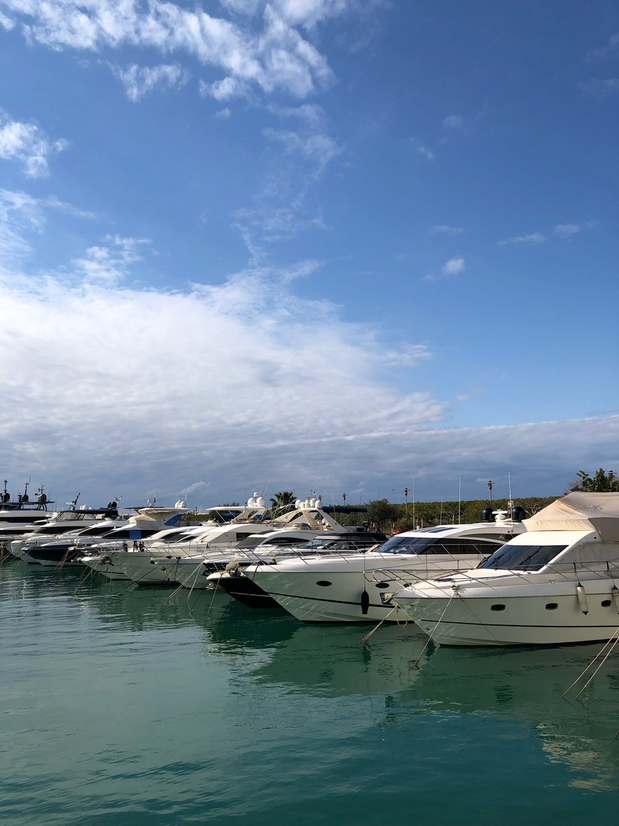 marie_nassar's tweet photo. Good morning X-Friends…🌷☕️
Have a blessed and relaxing Sunday 🌊💦☀️⛴️⛵️💙🤍🩵
My photo 📸

#SundayMorning 🌷 #CoffeeTime ☕️ #NatureBeauty 🌊 #StayPositive 💙 #Blessings 🤍 #PeaceAndLove 🕊️ https://t.co/em5K84e70a