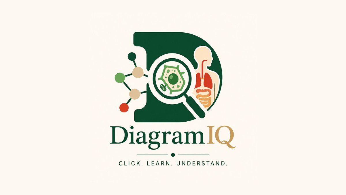 kumar88900's tweet photo. After months of work, we're excited to launch DiagramIQ — the first STEM learning app from Geekpoint Technologies.

Students can explore biology diagrams, molecules, and chemical reactions interactively instead of memorizing static textbook images.

Android:
https://t.co/LWysoYTuuu
iOS:
https://t.co/bOsxy783ZR

More STEM apps coming soon 🚀

#EdTech #STEM #Science #Education #Biology #Chemistry