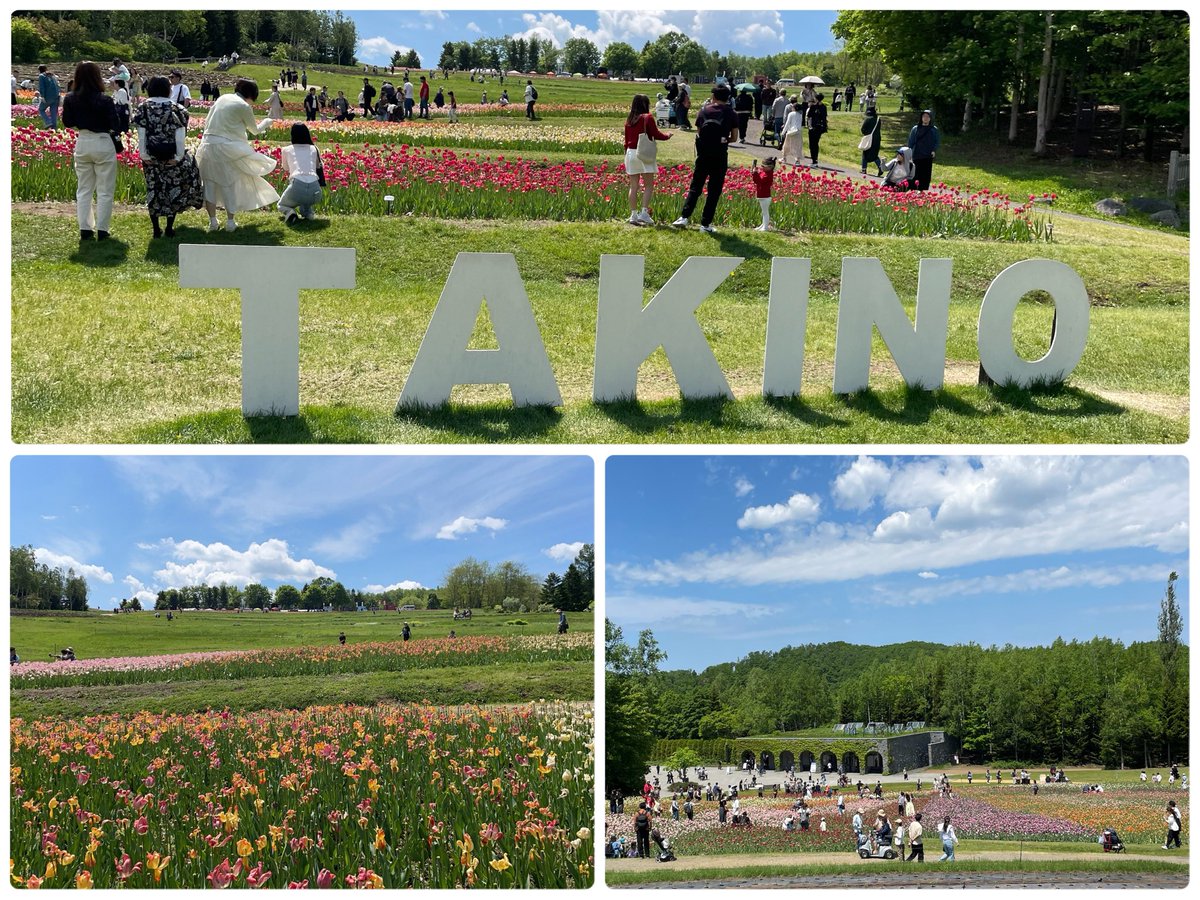 sapporoletter's tweet photo. 国営滝野すずらん丘陵公園に行って来ました。本日は無料開放日。
とても綺麗なピンクすずらんを見てきました。
帰りに滝野霊園に寄り頭大仏とモアイ像そしてストーンヘッジを見てきました。
#滝野すずらん丘陵公園　#すずらん　#ピンクすずらん　#札幌 https://t.co/KSparyEtm7