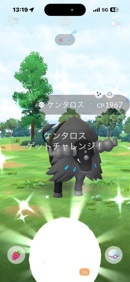 YasuPokeGO's tweet photo. 長かったパルデア
ケンタロス
ウォーター種色違い✨
コダック登場 https://t.co/gVb3eScusW