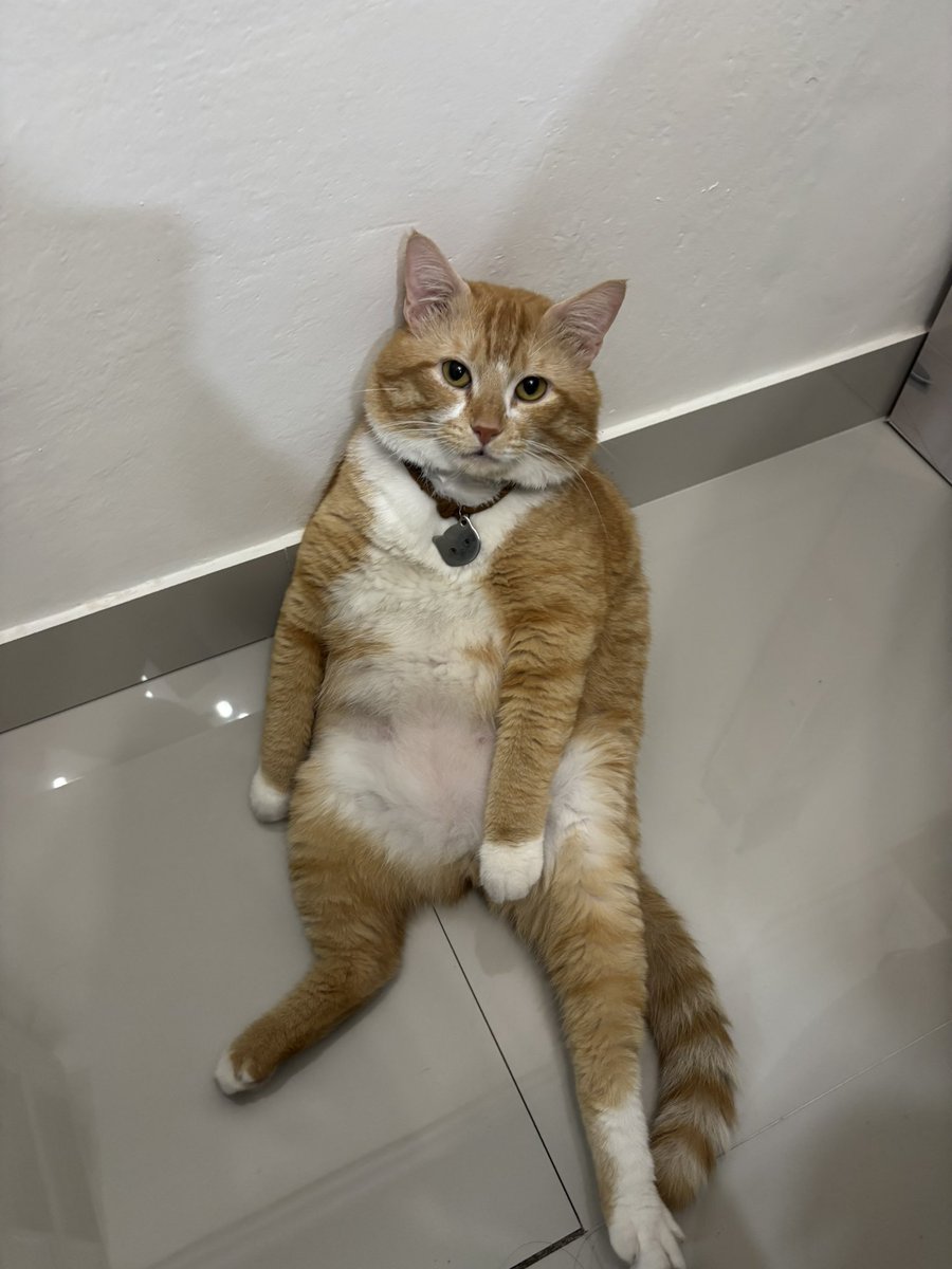 kimchiloq tweet media