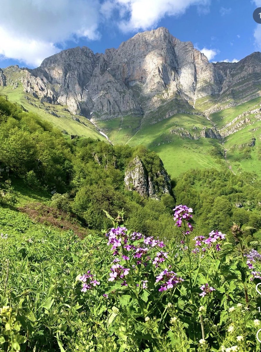 LucyluvsMoon1's tweet photo. The mountains don’t compete with the flowers. They both glorify their Creator by being exactly what they were made to be.

📍Mount Khustup, 🇦🇲 https://t.co/AUPj0XJudU