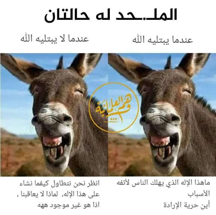 احمد السعيد يتحدى الإلحاد tweet media