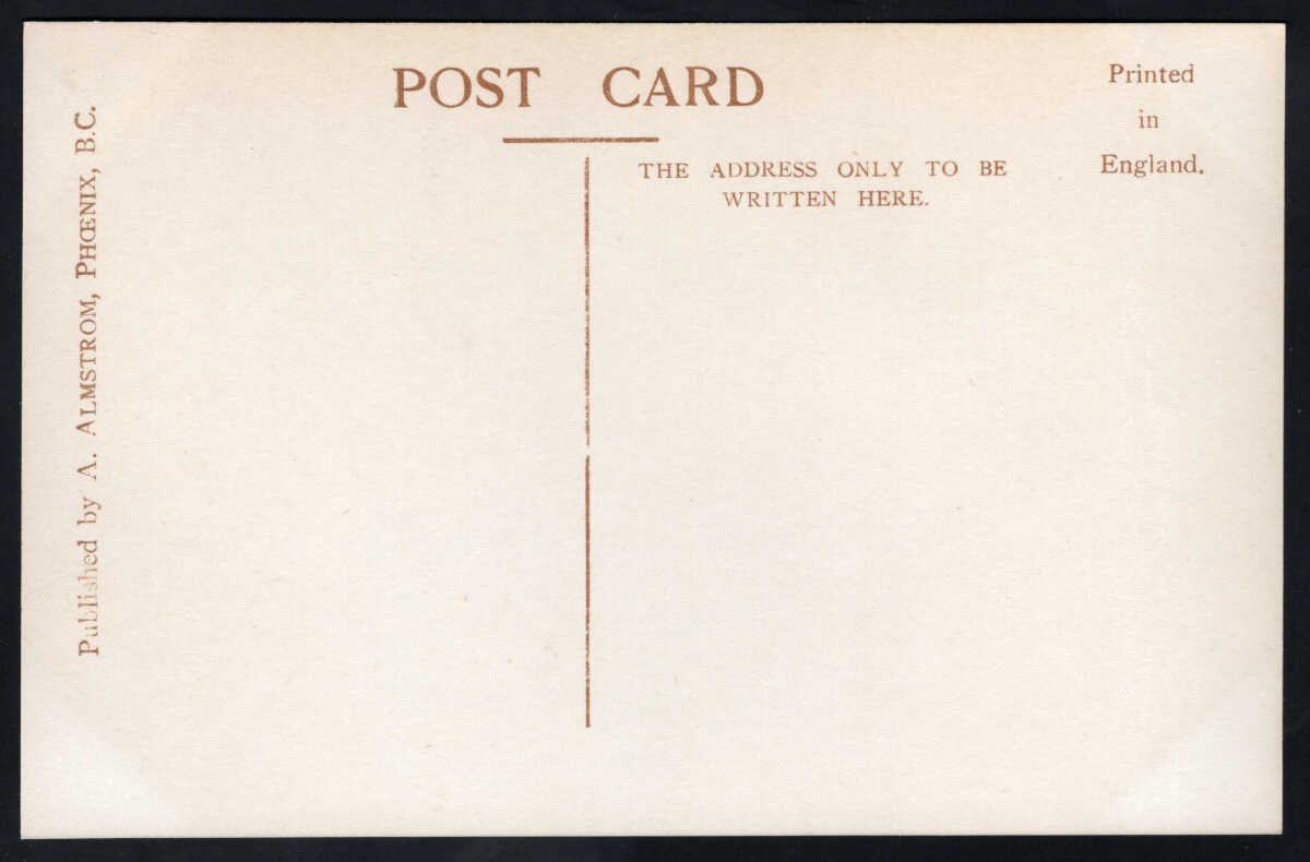 AllNations1949's tweet photo. Realized  $71 in our auction today Lot 18 British Columbia. Phoenix BC. Town View Real Photo Postcard. Unused, published by Almstrom. #BCPostcards https://t.co/ddXVPMyZlJ