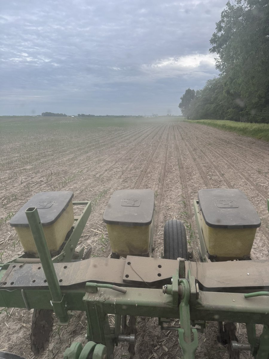 JGreenFarm's tweet photo. Seems like all we are doing out here is feeding the moles, raccoons, turkeys, ground squirrels and deer. 

Treated seed must be tasty. https://t.co/Mh4BoKpTy3